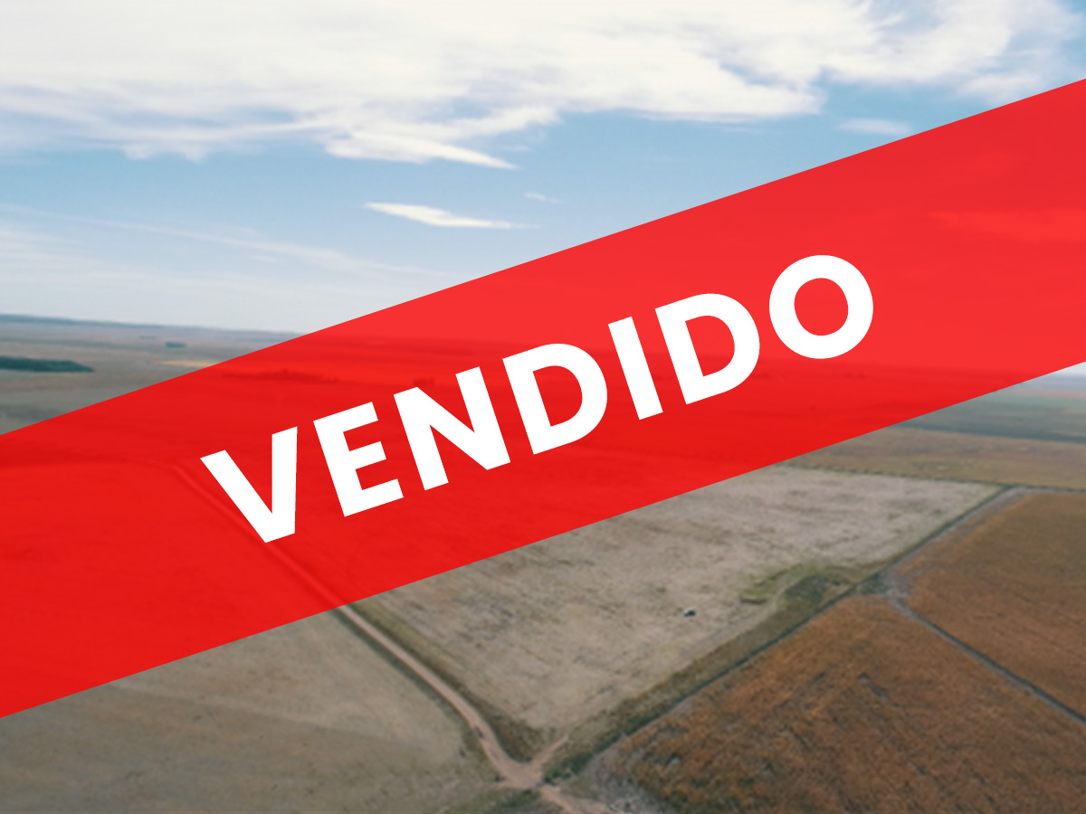 Fracción en venta de «Estancia El Campamento», Coronel Pringles, Buenos Aires.