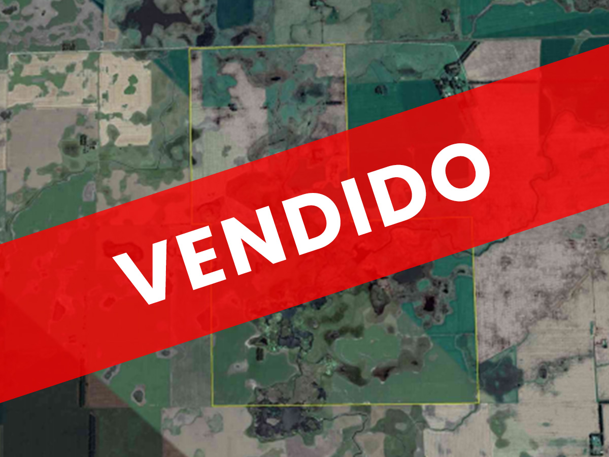 Establecimiento «Mallinco» Energía – Partido de Necochea, Buenos Aires.