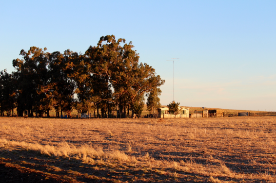 Estancia el campamento 9