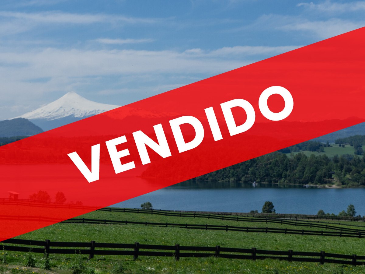 Bahía Panguipulli, Región de los Ríos