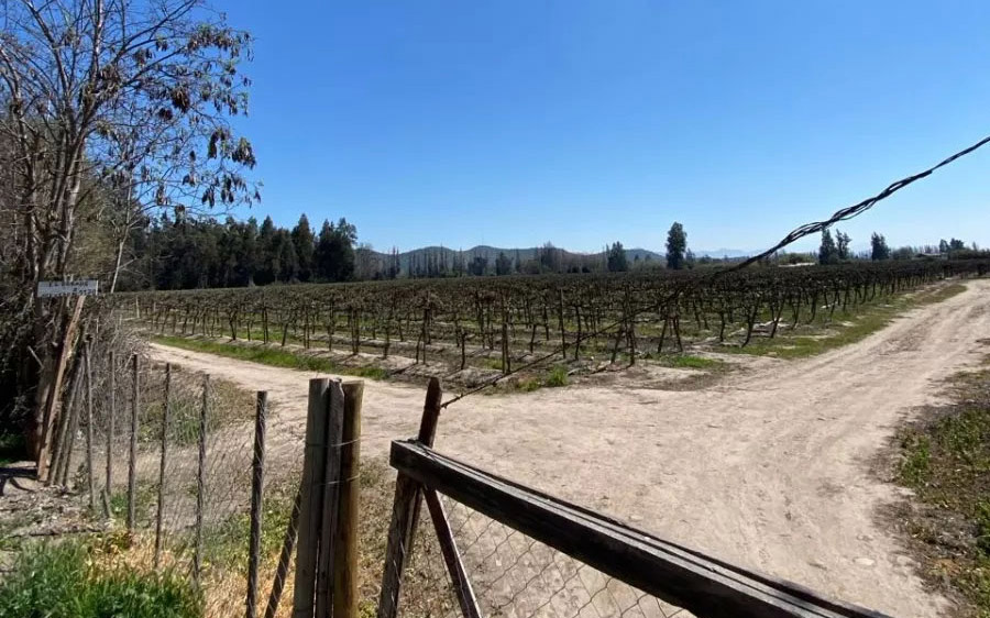 Isla Maipo lindo campo 9.2 Ha, con Viña en producción