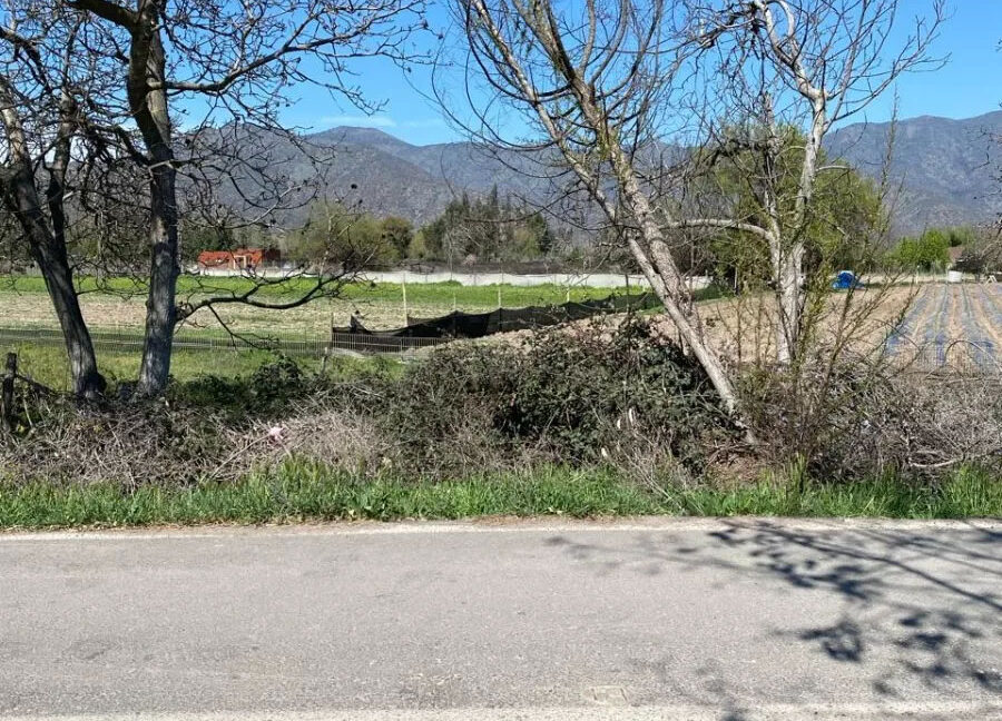 D_NQ_NP_2X_767857-MLC75196683388_032024-F-isla-maipo-lindo-campo-92-ha-con-vina-en-produccion
