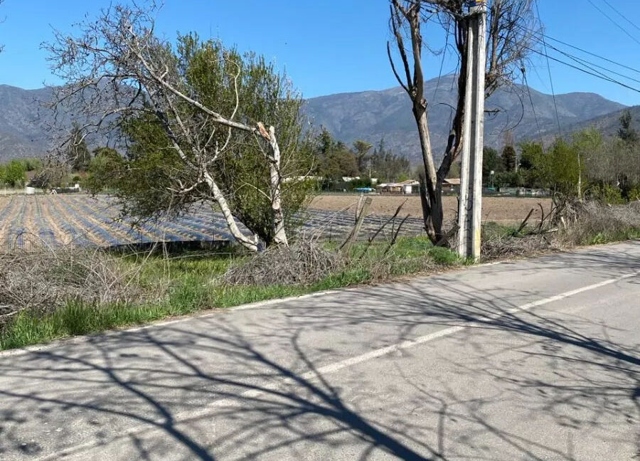D_NQ_NP_2X_896609-MLC75196905644_032024-F-isla-maipo-lindo-campo-92-ha-con-vina-en-produccion